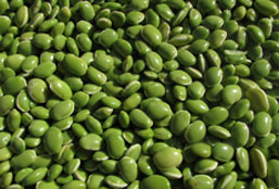 迷你轰炸台
